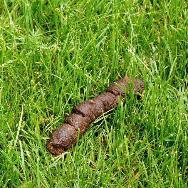 Rotating Circular Background